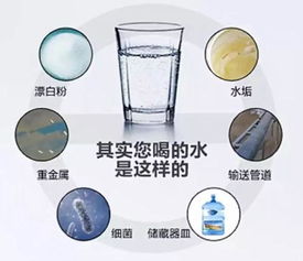 茂名市农村地区水质检测指南 守护饮水安全，了解专业检测单位